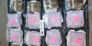 Bea Cukai gagalkan Penyelundupan 140 ribu Pil Ekstasi