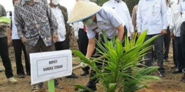 Petani Sawit di Bangka Tengah Dikabarkan Bakal Dapat Bantuan Sarpras, Apa Sajakah?