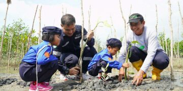 Peringati Hari Mangrove Sedunia, PT Timah Tbk Tanam 5000 Mangrove di Pantai Menuang
