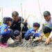 Peringati Hari Mangrove Sedunia, PT Timah Tbk Tanam 5000 Mangrove di Pantai Menuang
