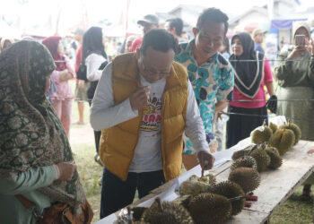 Ini Pemenang Kontes dan Lelang di Bazar Durian Air Mesu 2023