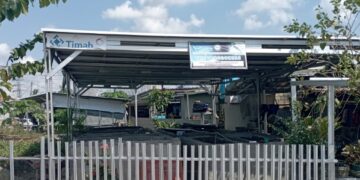 The Tanggokers Edukasi dan Konservasi Ikan Endemik/dok.timah