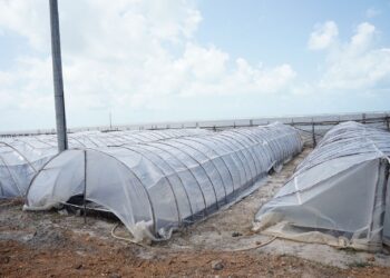 PT Timah Tbk Dorong Peningkatan Produksi Garam Kube Garam Lestari Belitung Timur