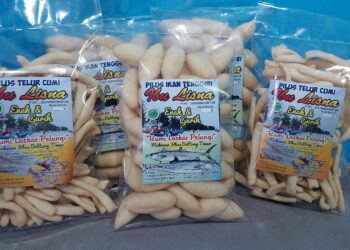 Usaha Pilus Ikan Tenggiri Lisnawati Terus Berkembang Setelah Jadi Mitra Binaan PT Timah Tbk