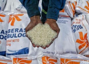 Stok Beras di Bangka Belitung Dipastikan Aman Hingga Akhir Tahun