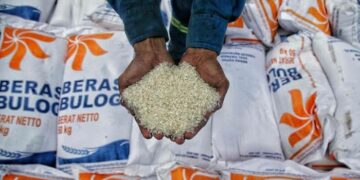 Stok Beras di Bangka Belitung Dipastikan Aman Hingga Akhir Tahun