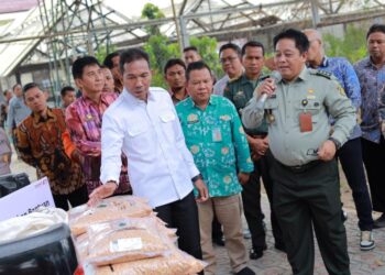 Keberadaan BSIP Dibutuhkan Dalam Pengawasan dan Pengawalan Ketersediaan Pangan