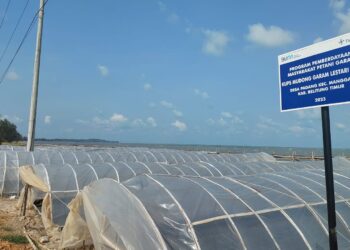 Produksi Garam KUPS Mudong Garam Lestari Meningkat Pasca Terima Bantuan dari PT Timah Tbk 