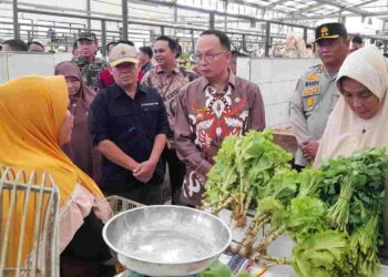 Algafry Pantau Harga dan Stok Bahan Pokok di Pasar Stabil Jelang Lebaran