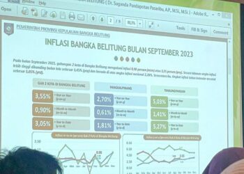 Jreng! Bangka Belitung Inflasi Tertinggi se-Indonesia