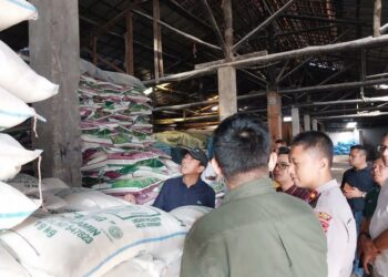 Stok Beras di Belitung Aman Hingga Akhir Tahun