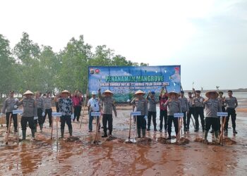 PT Timah Tbk Bersama Polres Bangka Barat Tanam Mangrove di Pantai Sungai Baru 