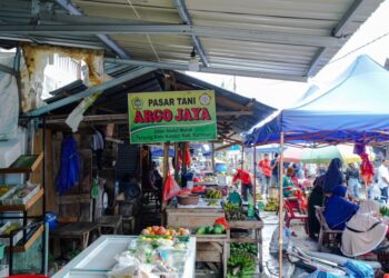 Mendukung Kemandirian Petani, PT Timah Tbk Bantu Modal Petani Lewat Program PUMK 
