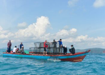 PT Timah Tbk Bersama Kelompok Nelayan Ridho Ilahi Bersatu Tenggelamkan Atraktor Cumi di Laut Rebo, Nelayan Berharap Hasil Tangkapan Meningkat