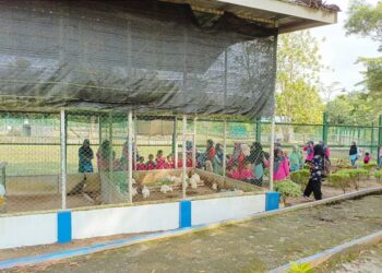 Siswa TK Bina Permata Desa Prayun Gembira Bisa Belajar dan Melihat Satwa di Kundur Park PT Timah Tbk 