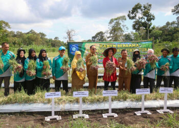 1,5 Ton Bawang Merah Berhasil Dipanen, Ini Harapan Bupati Algafry