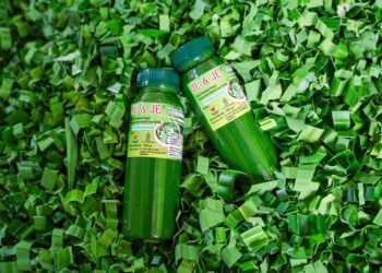 Kembangkan Usaha Pewarna Makanan, Levaria Kini kian Sukses Setelah Jadi Mitra Binaan PT Timah Tbk 