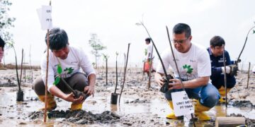 Kolaborasi dengan AMPG, PT Timah Tbk Tanam 5000 Batang Mangrove di Bangka Barat
