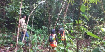 Lestarikan Flora dan Fauna Endemik, PT Timah Gencarkan Program Hutan Kehati