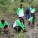 PT Timah Tbk Tanam 12.000 Mangrove di Pesisir Pantai Kundur, Cegah Abrasi sekaligus Jaga Ekosistem Pesisir