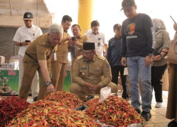 Pj Gubernur Babel Safrizal Tinjau Langsung Stabilitas Harga Pangan