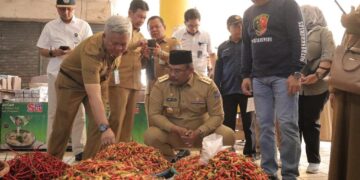 Pj Gubernur Babel Safrizal Tinjau Langsung Stabilitas Harga Pangan