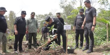 Tantangan Penanaman 1 Juta Pohon di Bangka Belitung
