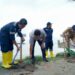 Penanaman Ribuan Mangrove di Kampung Iklim Teluk Rubiyah Bangka Barat 