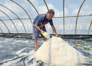 Produksi KUPS Mudong Garam Lestari Belitung Timur Meningkat Pesat, Tak Sia-siakan Program CSR PT Timah
