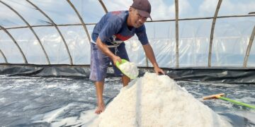 Produksi KUPS Mudong Garam Lestari Belitung Timur Meningkat Pesat, Tak Sia-siakan Program CSR PT Timah