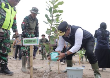 Rehabilitasi Lahan Kritis di Babel, Pj Gubernur Safrizal Serukan Gerakan Penanaman Pohon