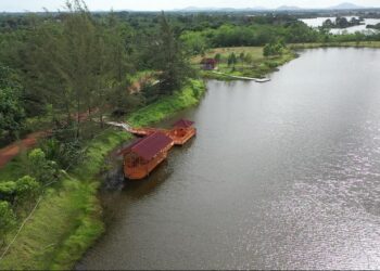 Menata Lahan Pasca Tambang, PT Timah Tahun Ini Kembali Targetkan Reklamasi Ratusan Hektar Lahan di Bangka Belitung 