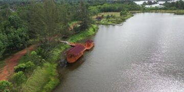 Menata Lahan Pasca Tambang, PT Timah Tahun Ini Kembali Targetkan Reklamasi Ratusan Hektar Lahan di Bangka Belitung 