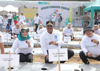Tanam Cabai Serentak, Pj Gubernur Safrizal ZA: Kawal Ketahanan Pangan sampai di Tingkat Rumah Tangga