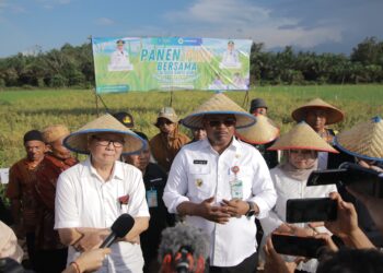 Genjot Produksi Padi, Pj Gubernur Safrizal Tekankan Pentingnya Eksekusi Program Semarak Babel
