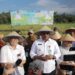 Genjot Produksi Padi, Pj Gubernur Safrizal Tekankan Pentingnya Eksekusi Program Semarak Babel