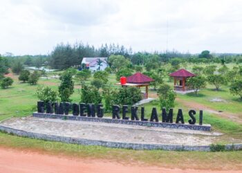 Lewat Program Hutan Kehati, Upaya PT Timah Jaga Kenakeragaman Hayati dan Melestarikan Flora dan Fauna