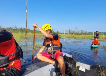 Diduga Diterkam Buaya, Warga di Bangka Selatan Ini Tiba-tiba Hilang Usai Ditinggal Rekannya di Atas Perahu