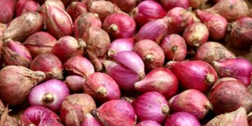 Sebanyak 23 Ton Bawang Merah Bakal Tiba di Babel, Antisipasi Lonjakan Jelang Idul Adha