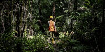 Perhutanan Sosial Yang Berkelanjutan di Tanah Air