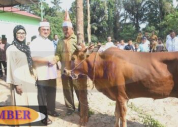 Melati Erzaldi Serahkan 3 Hewan Kurban di Desa Ini