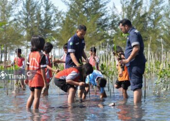 4800 Bibit Mangrove Mulai Hijaukan Pantai Menuang di Bateng, Komitmen PT Timah Jaga Ekosistem Pesisir