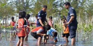 4800 Bibit Mangrove Mulai Hijaukan Pantai Menuang di Bateng, Komitmen PT Timah Jaga Ekosistem Pesisir