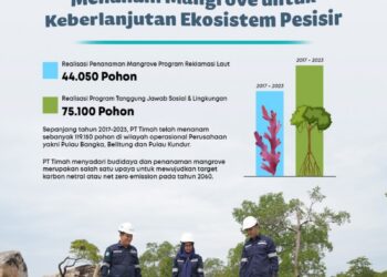 PT Timah Tanami 119.150 Mangrove di Wilayah Operasional, Langkah Jaga Ekosistem Pesisir
