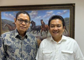 Direktur Utama PT Timah Sampaikan Kondisi Pertimahan ke Wamen Investasi BKPM