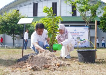 Rangkaian HUT ke-48 PT Timah, Bulan Bakti dan Tanam Pohon Hingga Berbagi Kebahagiaan Bersama Karyawan