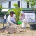 Rangkaian HUT ke-48 PT Timah, Bulan Bakti dan Tanam Pohon Hingga Berbagi Kebahagiaan Bersama Karyawan