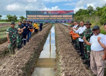 Melalui Program PPM, Upaya PT Timah Tingkatkan Kesejahteraan Masyarakat di Wilayah Operasional