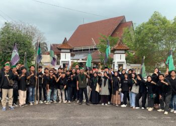 HMI Minta Pemprov Babel Evaluasi Penerimaan Pajak Asli Daerah