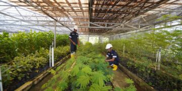 Reklamasi Lahan Bekas Tambang dengan Konsisten, PT Timah Targetkan 396,5 hektar di 2024